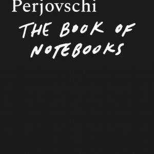 The Book of Notebooks. Cartea carnetelor | Dan Perjovschi