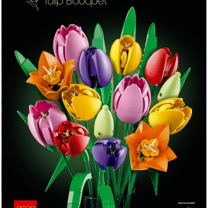 LEGO Botanicals  - Buchet de lalele (11501) | LEGO