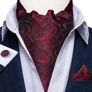 Set cravata / esarfa Ascot + batista + butoni