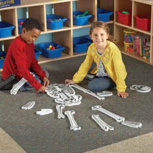 Puzzle educational Schelet