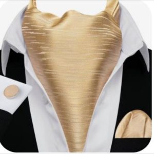 Set cravata / esarfa Ascot + batista + butoni