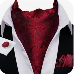 Set cravata / esarfa Ascot + batista + butoni