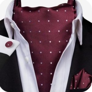Set cravata / esarfa Ascot + batista + butoni