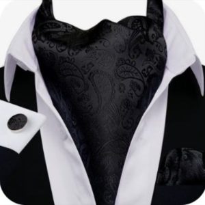 Set cravata / esarfa Ascot + batista + butoni