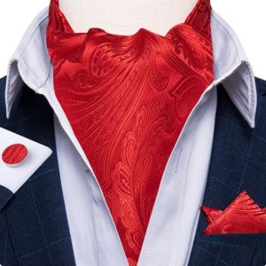 Set cravata / esarfa Ascot + batista + butoni