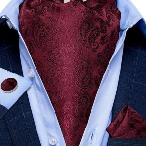 Set cravata / esarfa Ascot + batista + butoni