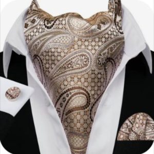 Set cravata / esarfa Ascot + batista + butoni