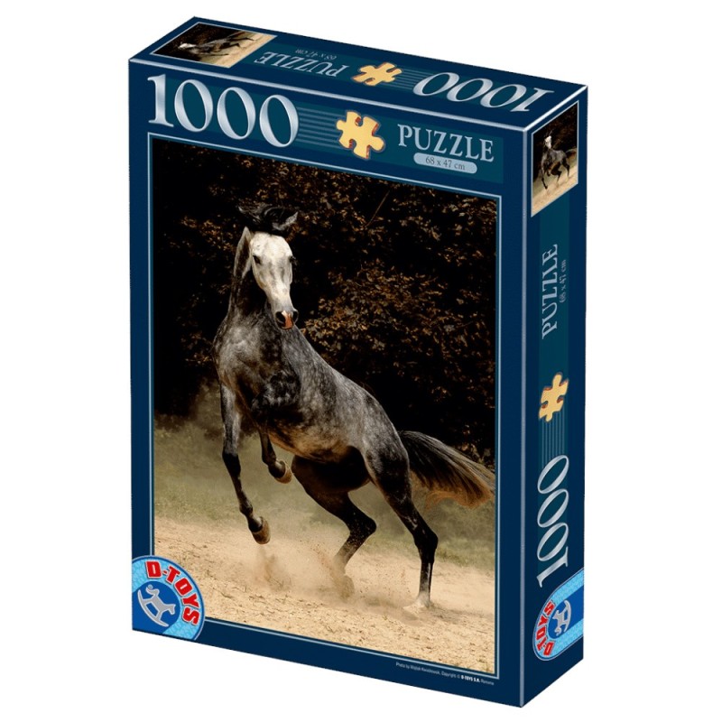 Puzzle 1000 Piese D-Toys